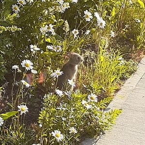 Meet your Posher, Stefanie